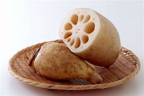 誰でもできるレンコンの育て方